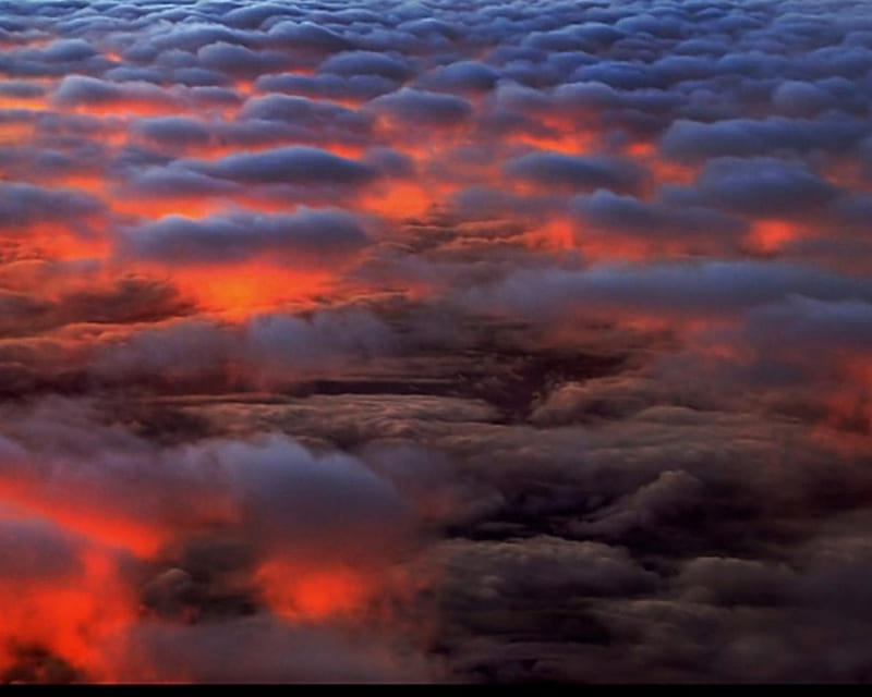 red clouds, red, sky, clouds, fluffy, HD wallpaper
