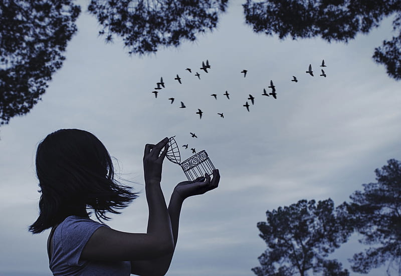 Bird, girl, bird cage, birds, dom, trees, sky, HD wallpaper