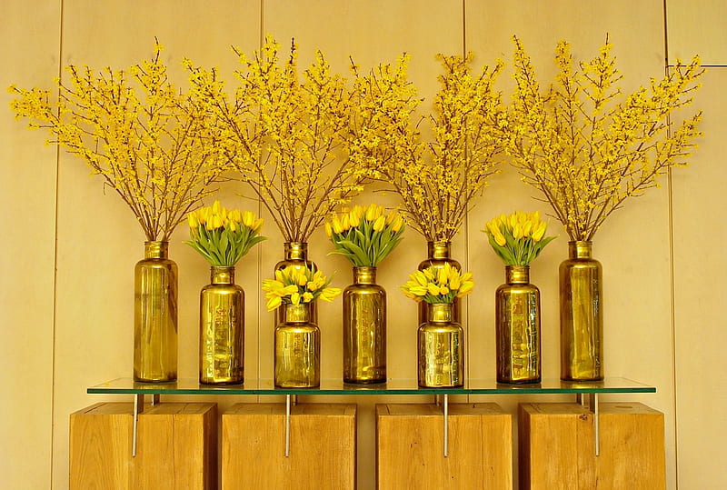 Golden Spring, hotel, golden, yellow, spring, reception, still life, vases, tulips, forsitia, HD wallpaper