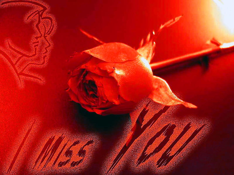Missing you, red, missing, rose, flower, os, siluets, HD wallpaper