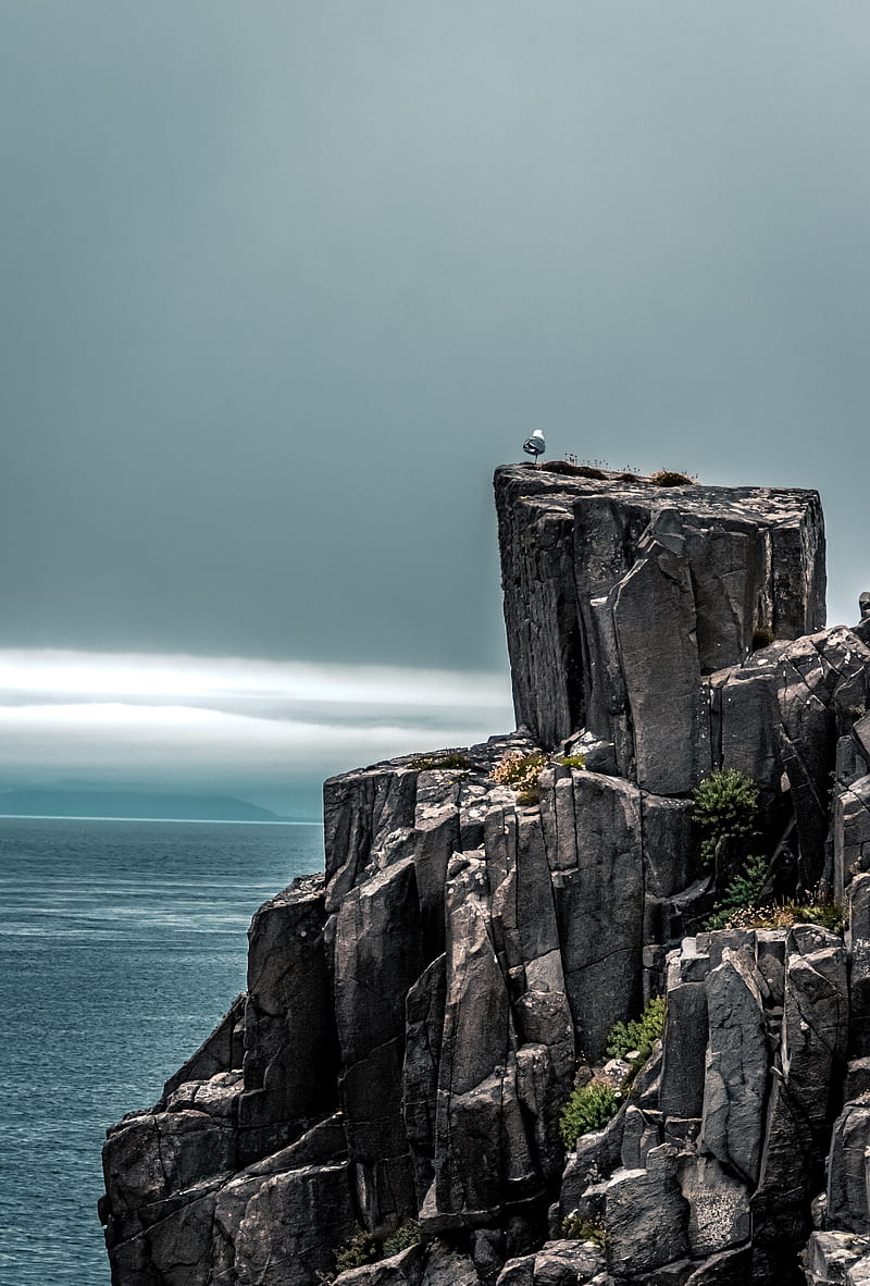 rock, peak, bird, nature, HD phone wallpaper