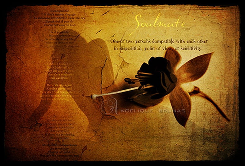 Soul mate..., silhouette, rose, quote, texture, HD wallpaper