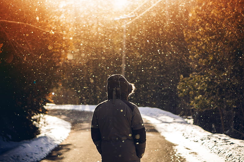person wearing hoodie standing in middle of road with falling snow, HD wallpaper