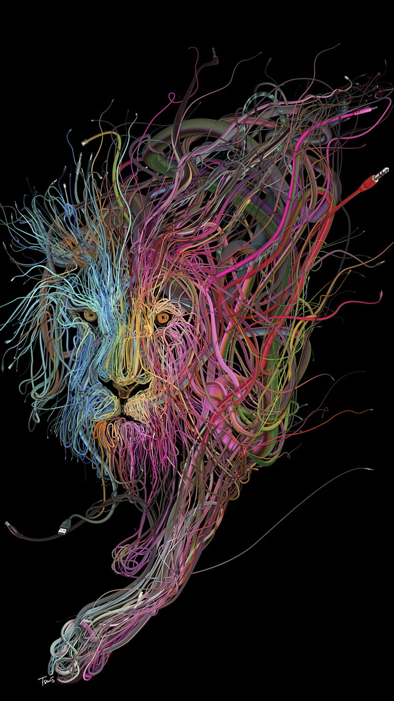 Lion, cables, colors, music, HD phone wallpaper