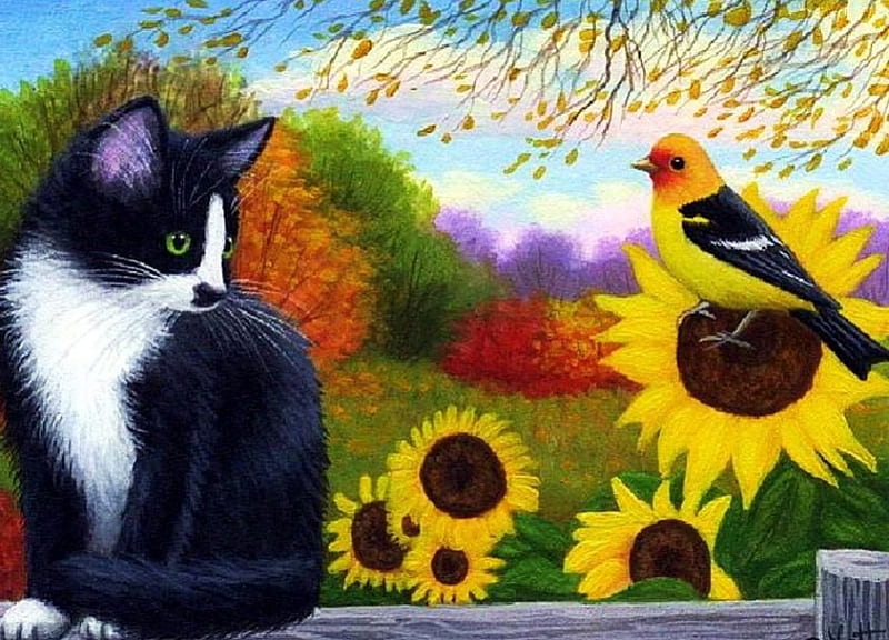 Summer Now, fence, bird, sunflowers, painting, flowers, cat, artwork, HD wallpaper