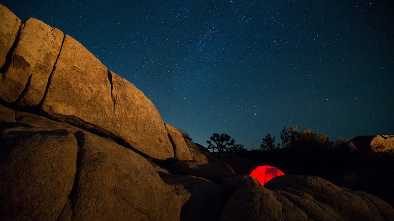 stars over campers in joshua tree california, stars, tent, bolder, sky, night, light, HD wallpaper