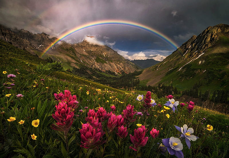 Hermosos paisajes, montaña, flores, bonito, arco iris, paisajes, Fondo de  pantalla HD | Peakpx