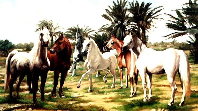 Horse Herd, brown horses, nature, white horses, horses, wild horses, HD wallpaper
