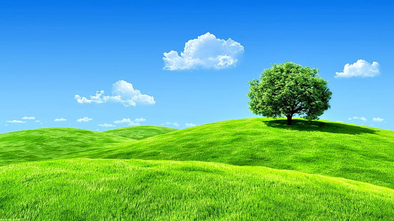 IM ALONE HERE, tree, splendor, enchanting nature, nature, sky, landscape, HD wallpaper