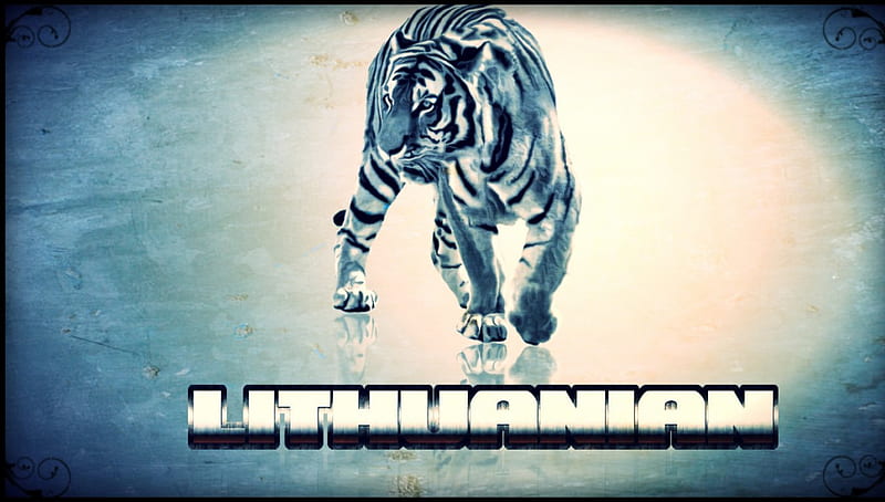 Lithuanian Tiger, tag, tiger, flash, sexy, silver, lion, animal, metal, fantasy, gold, cool, edit, HD wallpaper