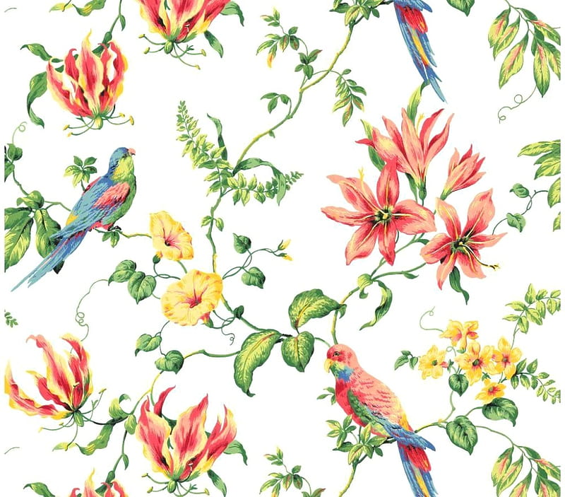 Texture, pattern, exotic, orange, pasare, yellow, parrot, green, bird, summer, flower, paper, white, HD wallpaper