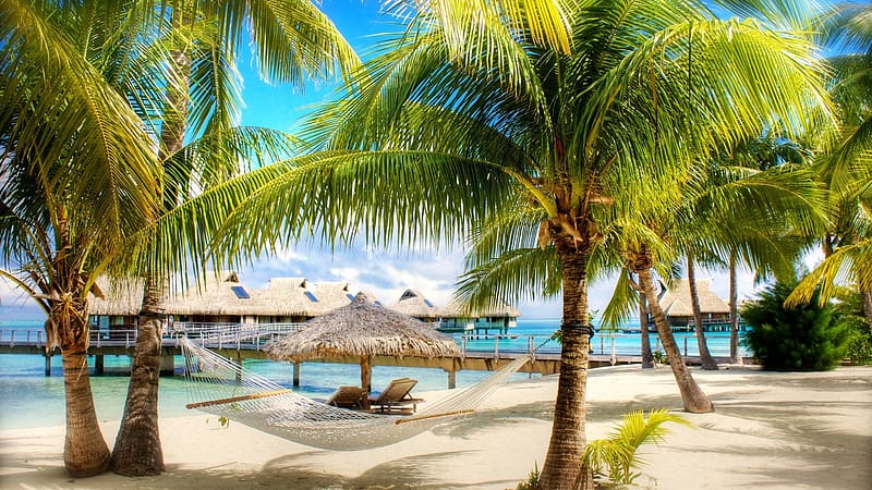 Beach, Tree, Holiday, Tropical, Hut, Resort, , Hammock, Palm Tree, HD wallpaper