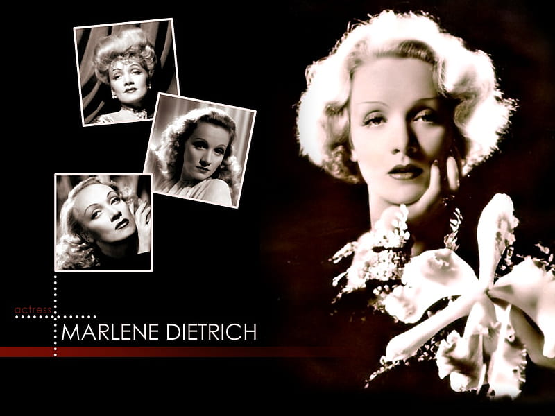 Marlene Dietrich, pretty woman, female, actress, nice pic, old, HD ...