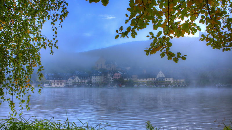 town on the moselle river in germany, leaves, town, river, branches, fog, HD wallpaper