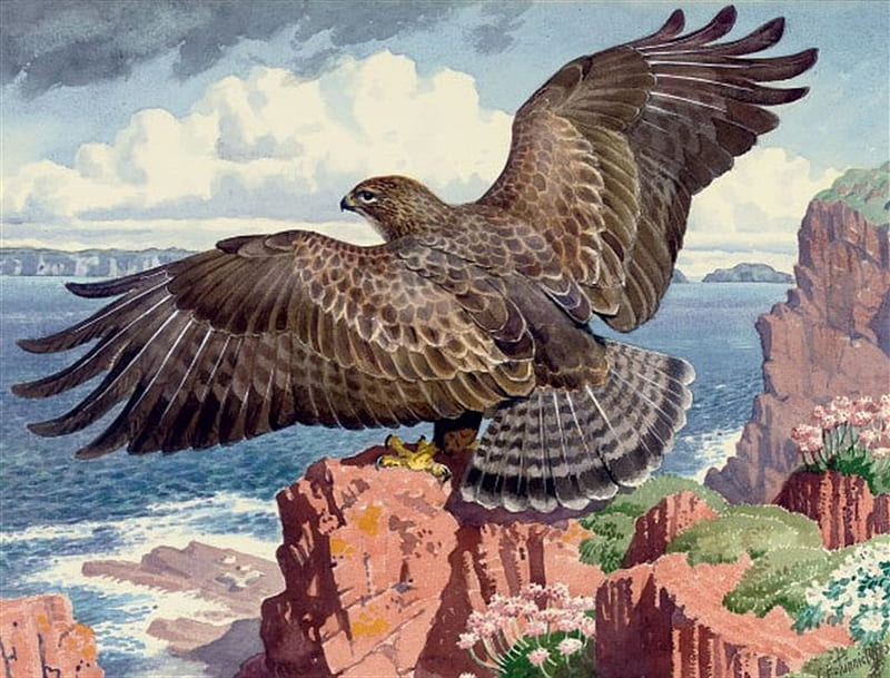 Bird in flight, nature, animals, flying, birds, buzzards, cliff, HD wallpaper