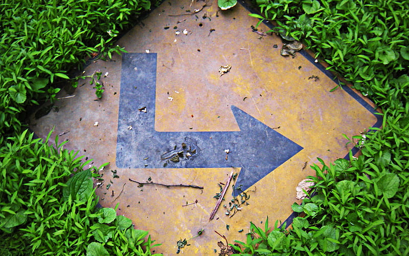 road sign in grass abandoned sign, arrow sign, traffic signs, pointer, direction, right arrow, HD wallpaper