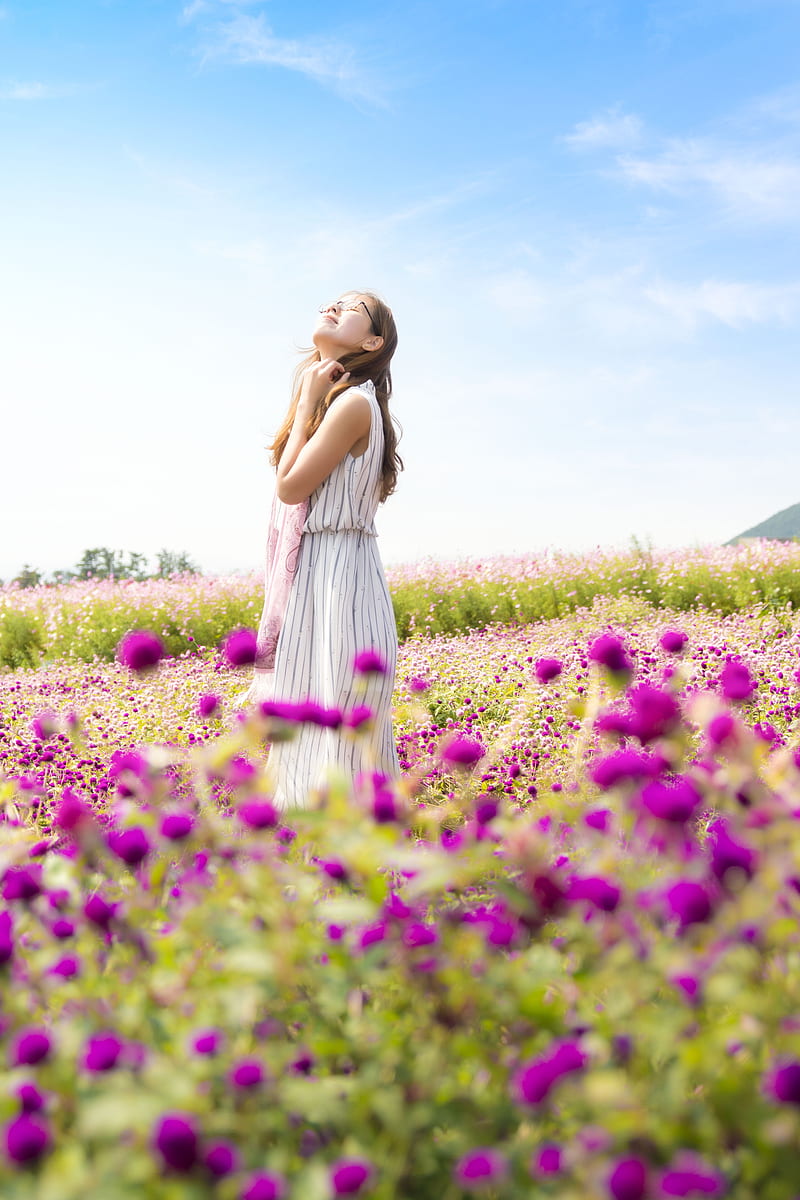 woman wearing white and gray striped sleeveless dress smelling the air standing in the pink flower field at daytime, HD phone wallpaper