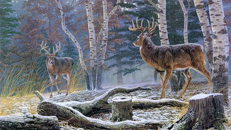 Deers, forest, art, luminos, rosemary millette, winter, horns, animal, tree, snow, painting, pictura, HD wallpaper