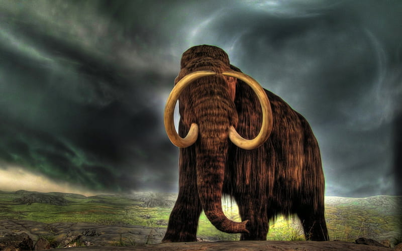 MAMMOTH OF OLD, skies, prehistoric, storms, tusks, ice age, mammals, mammoth, animals, HD wallpaper