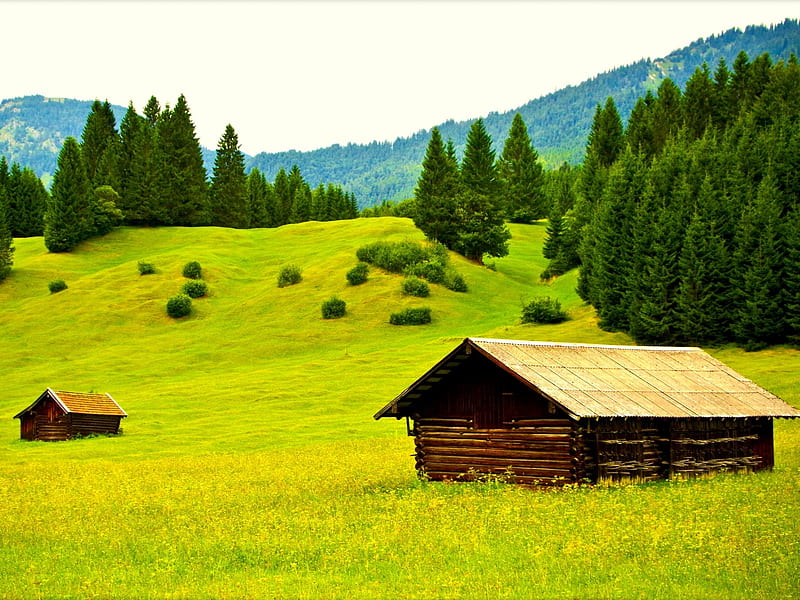 Houses on Upland, forest, grass, glade, houses, trees, green, mountains, upland, nature, HD wallpaper