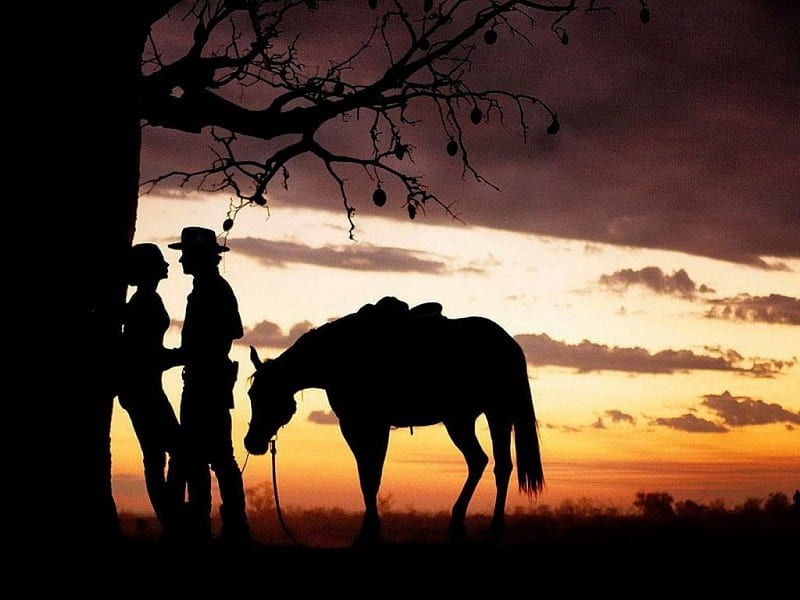  Noche de vaqueras, westerns, vaqueras, aire libre, caballos, vaqueros, Fondo de pantalla HD