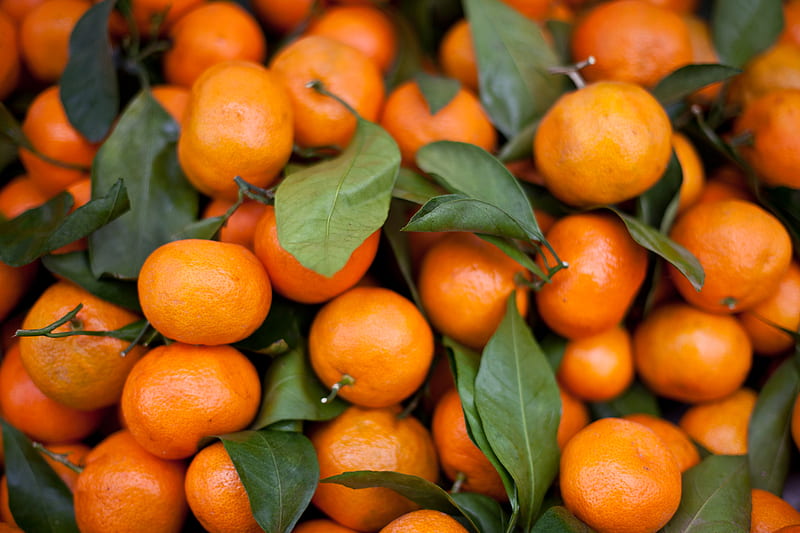 tangerines, fruits, leaves, citrus, orange, macro, HD wallpaper