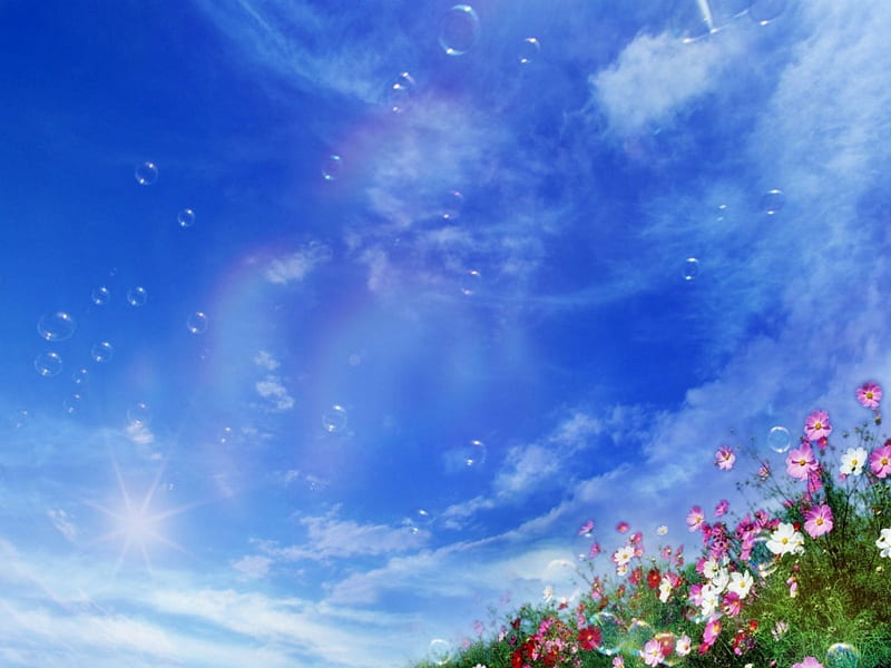 RADIANT COLORS, colors, flowers, sky, radiant, HD wallpaper