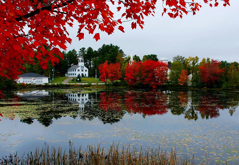 Marlow, New Hampshire, reflections, fall, water, leaves, colors, church, trees, HD wallpaper