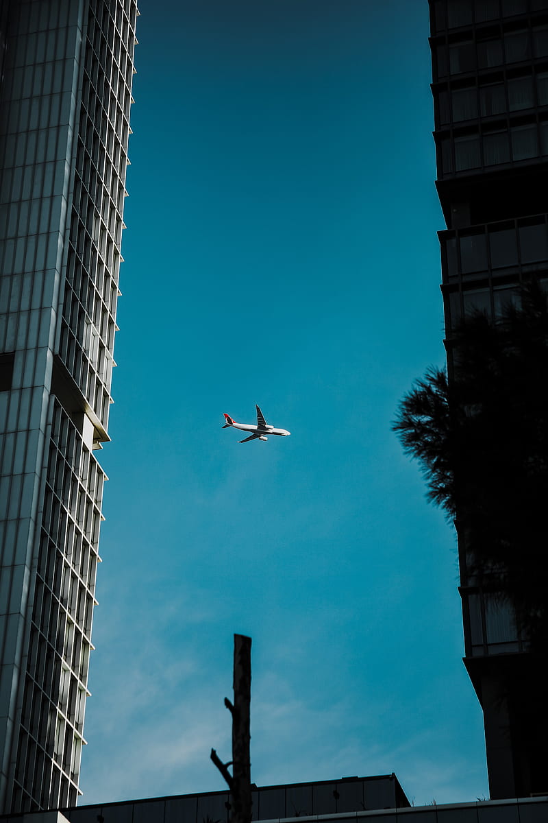 plane, sky, buildings, architecture, bottom view, HD phone wallpaper