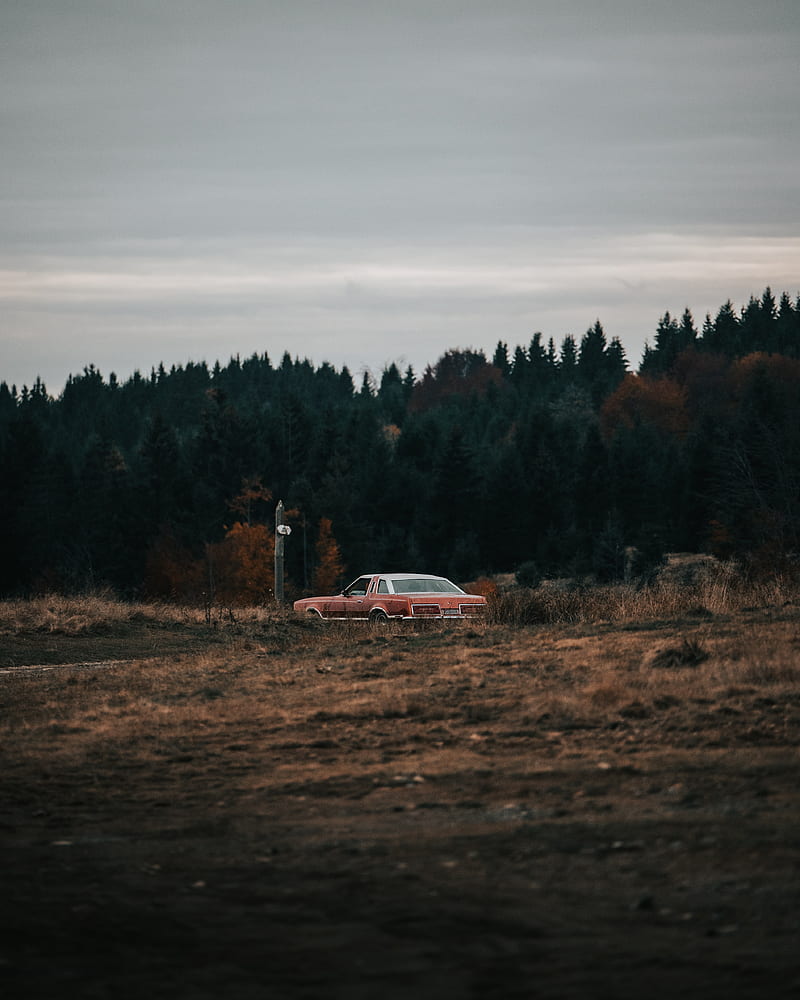 car, old, field, forest, nature, HD phone wallpaper