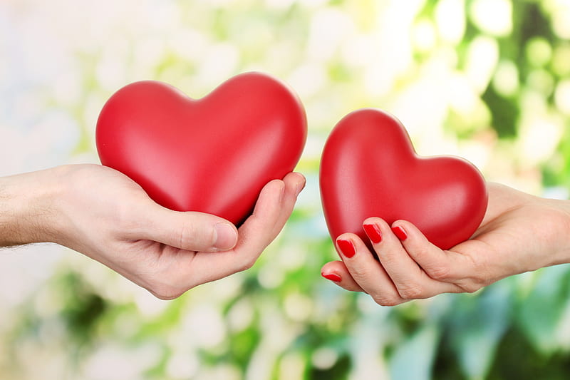 Valentine's Day Backdrops, Phoenix lifestyle