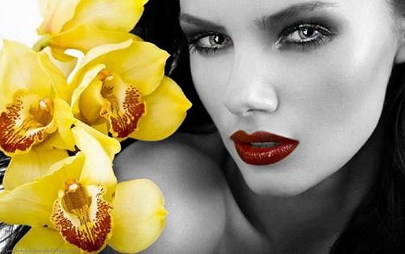 lovely face, model, flowers, lips, fashion, woman, HD wallpaper