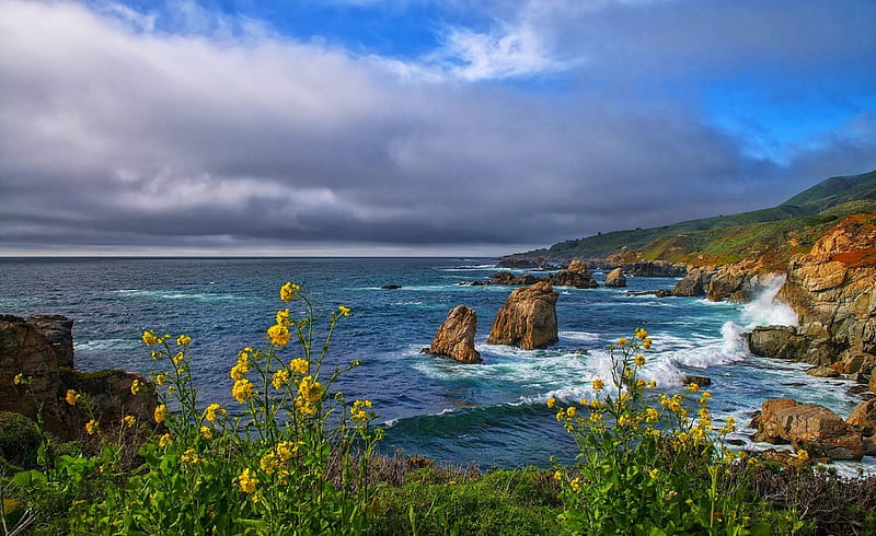 Rocky Coast Of California, hills, rocks, grass, bonito, waves, clouds, sea, Big Sur, afternoon, flowers, HD wallpaper