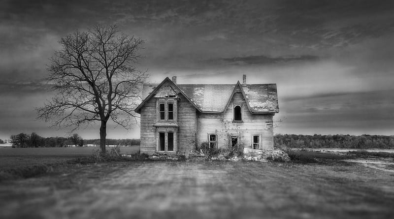 haunted house in focus, tree, house, black and white, focus, fields, abandoned, HD wallpaper