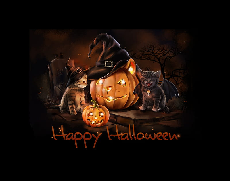 HALLOWEEN CATS, pumpkins, black, pumpkin, cat, halloween pumpkins, halloween favorites, funny, cute, HD wallpaper