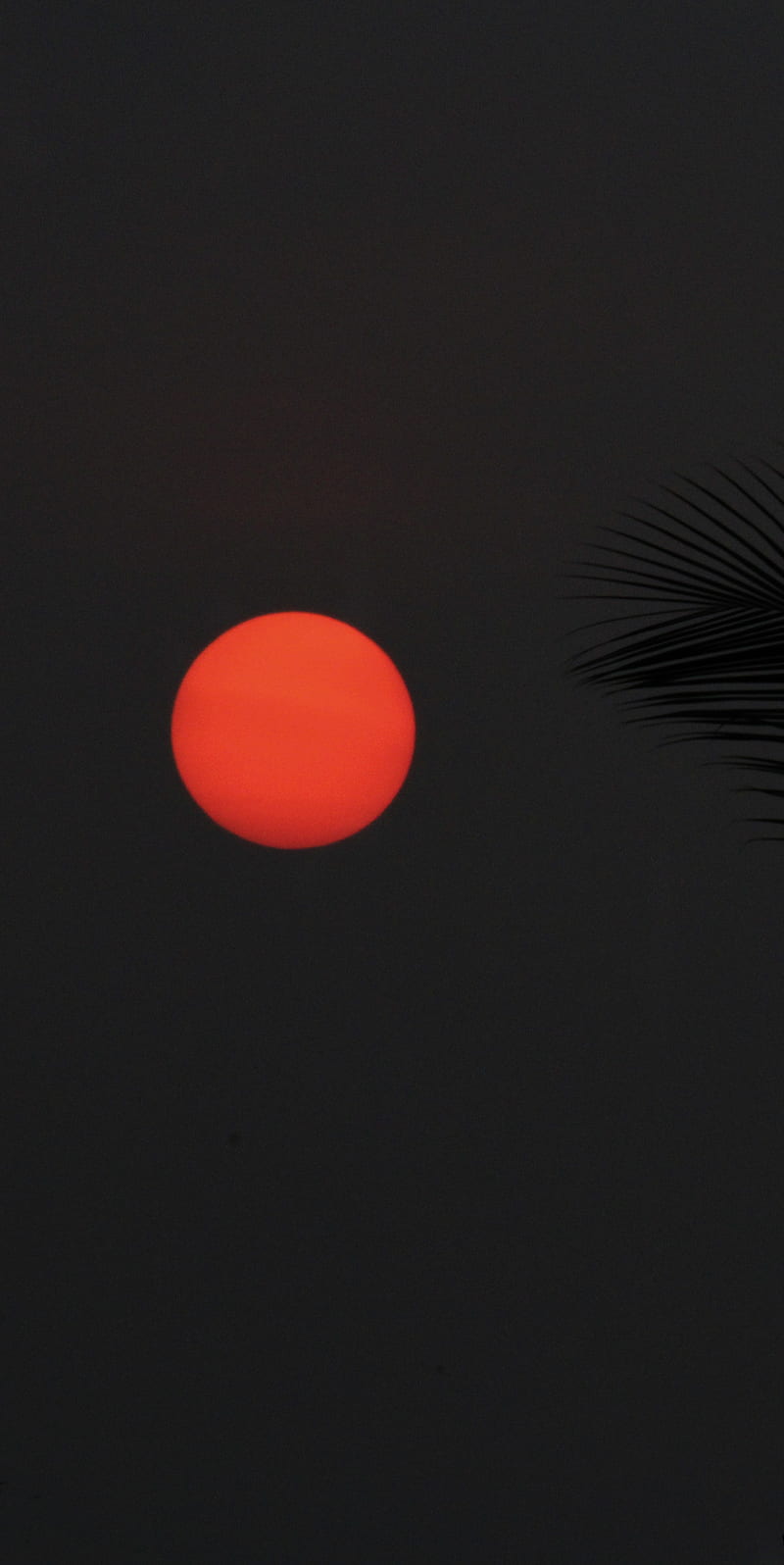 Red sun set, beauty, dark, lights, grapher, rise, HD phone wallpaper