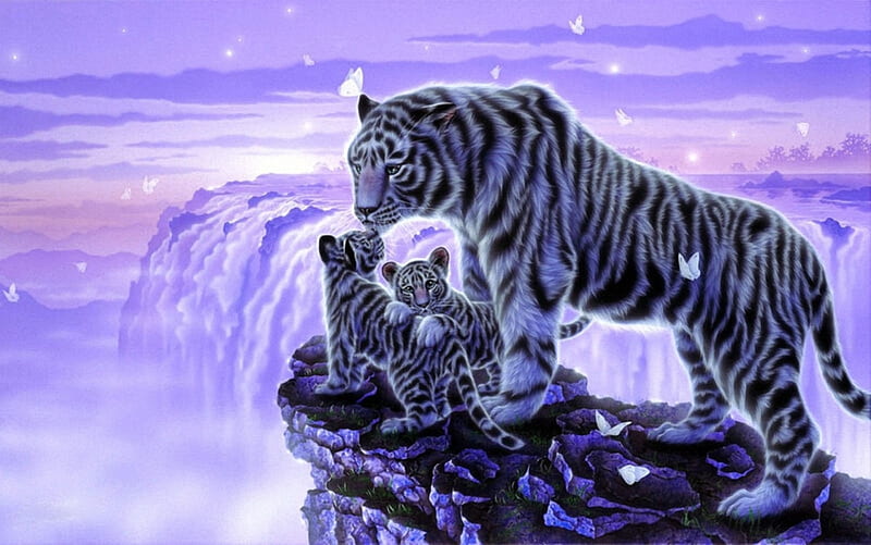 Tigers on the Waterfall, waterfall, rocks, tiger, butterflies, HD ...