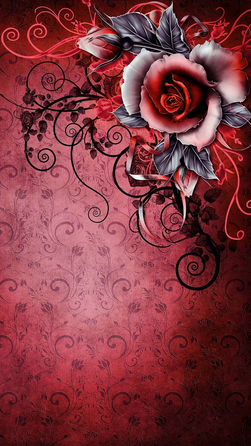Rose, flower, love, pattern, red, HD phone wallpaper