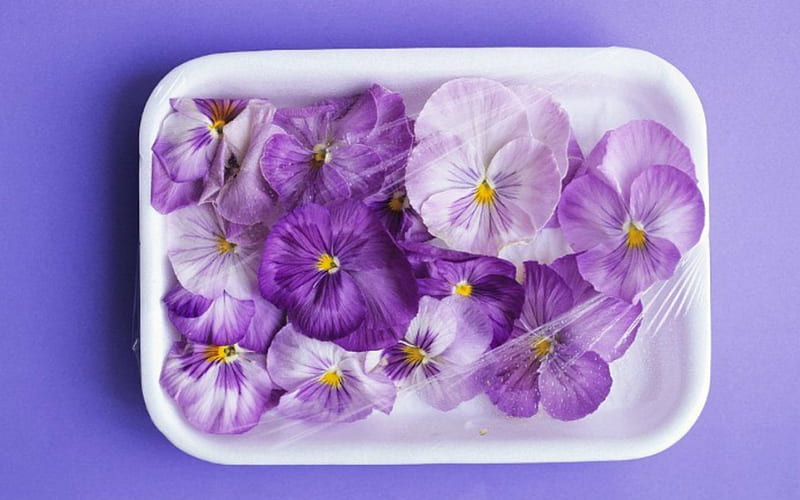 Purple Flowers, flowers, plastic, petals, purple, HD wallpaper