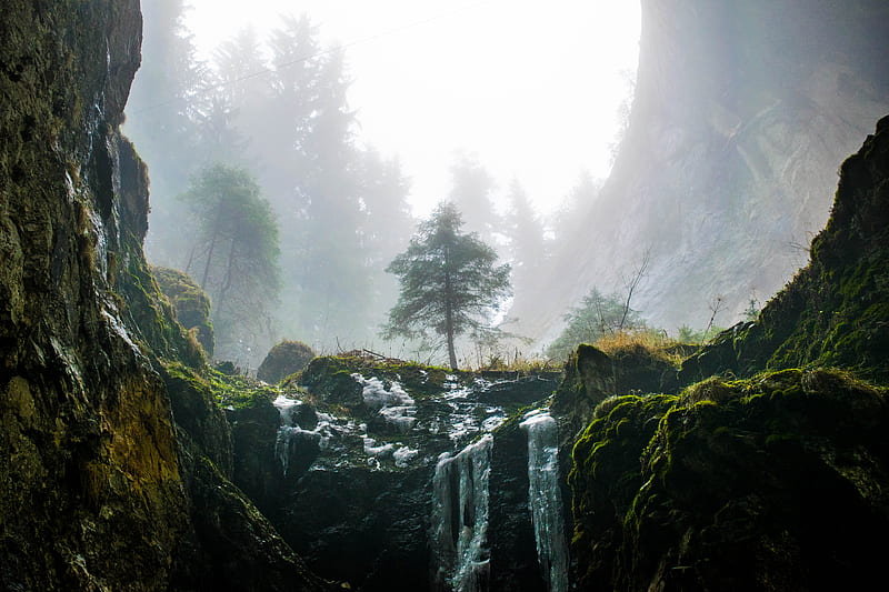 waterfall, cascade, moss, forest, bonito, relaxing, rocks, Nature, HD wallpaper
