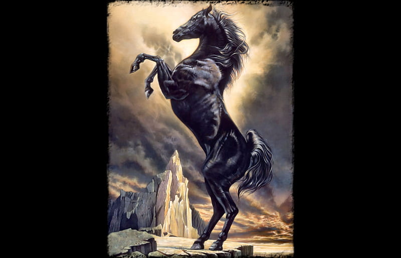 The Black Stallion - Horse, art, equine, bonito, horse, illustration, artwork, animal, painting, wide screen, HD wallpaper