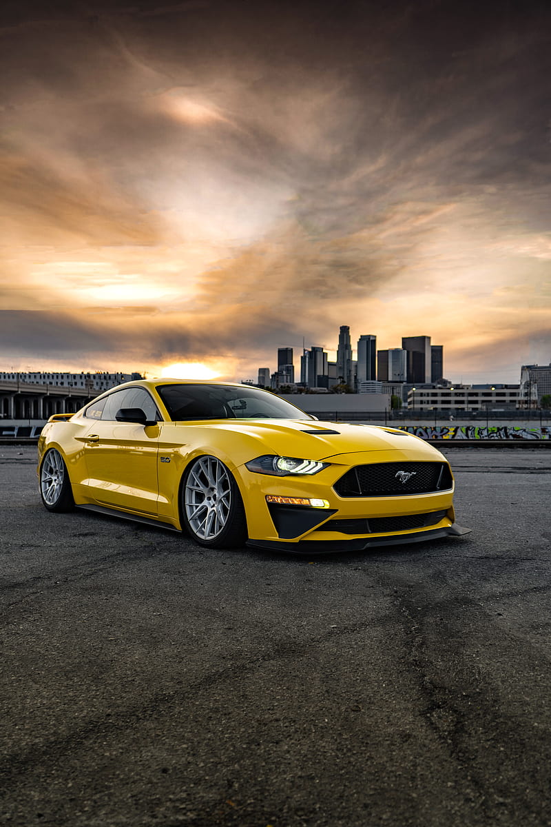 Cloudy Day DTLA , airlift, bagged, bdwheels, coyote, gt, mustang, mustang gt, performance pack, vibe motorsports, HD phone wallpaper