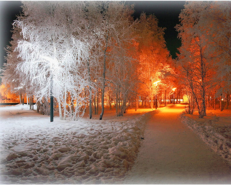 Winter Lighting, dark, glow, lights, night, park, path, snow, HD ...