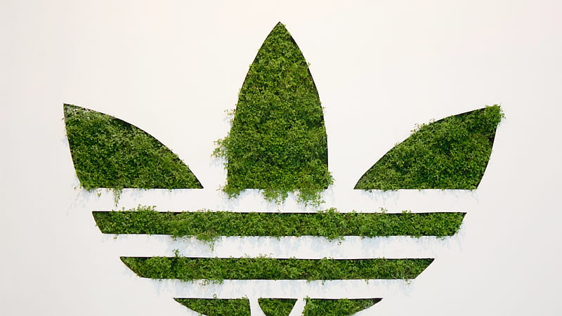 Adidas Grass Logo, adidas, logo, grass, HD wallpaper