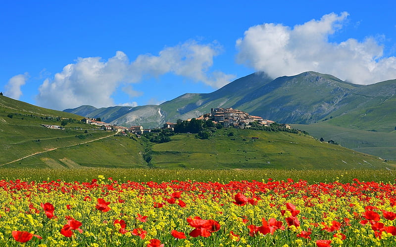 Castelluccio, Umbria, country, Italy, poppies, HD wallpaper