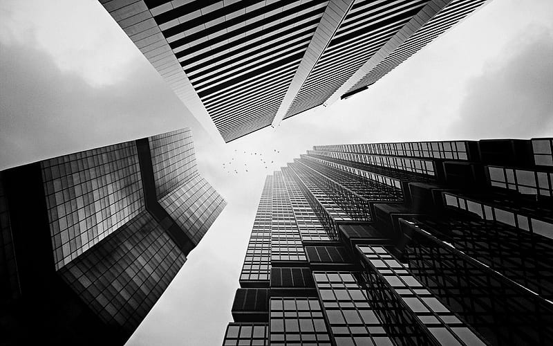 skyscrapers, black and white, monochrome, modern buildings, business centers, HD wallpaper