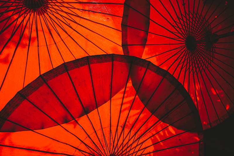 umbrella, red, round, HD wallpaper