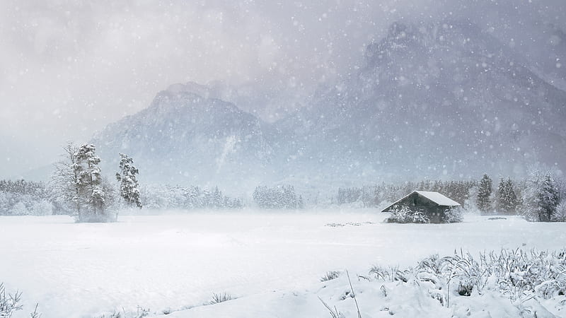 graphy, Winter, Hut, Mountain, Pine Tree, Snow, Snowfall, HD wallpaper