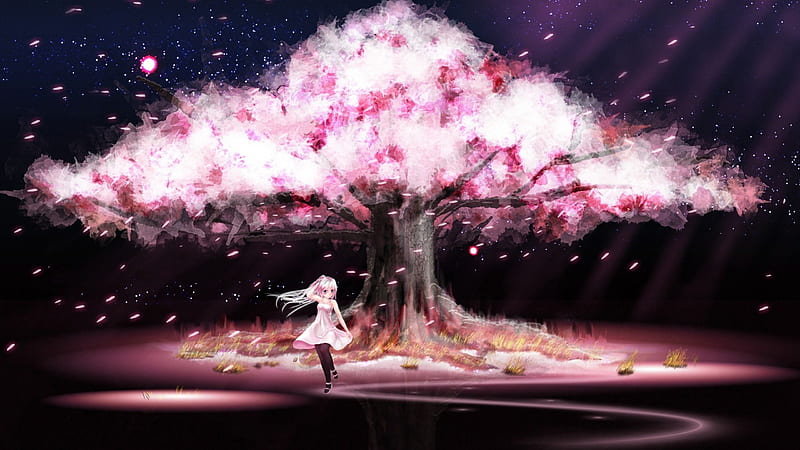 Cherry blossoms tree, blossom, anime, pink, night, cherry, HD wallpaper