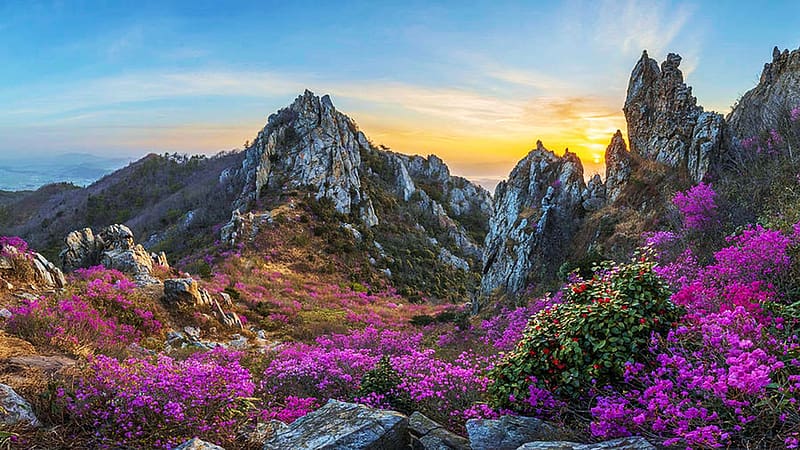 Blooming Time, Deokryongsan, South Korea, blossoms, clouds, landscape, sky, flowers, spring, rocks, sunset, colors, HD wallpaper